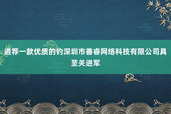 遴荐一款优质的钓深圳市善睿网络科技有限公司具至关进军