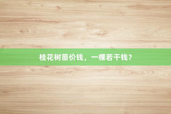 桂花树苗价钱,一棵若干钱?