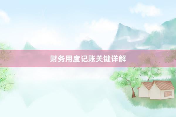 财务用度记账关键详解